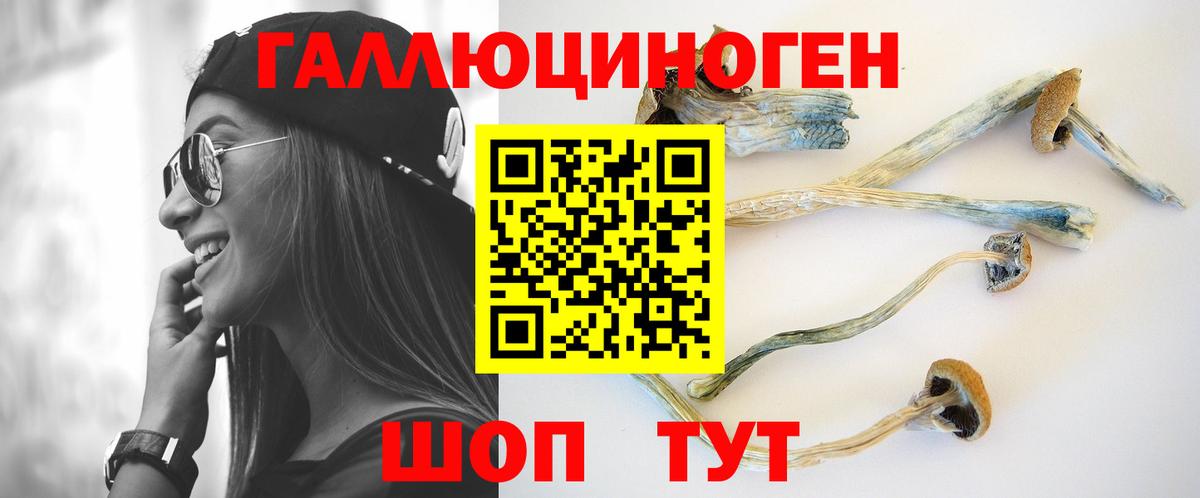 Псилоцибиновые грибы Psilocybine cubensis  Псилоцибиновые грибы GOLDEN TEACHER  Вход с VPN  Камень-на-Оби 